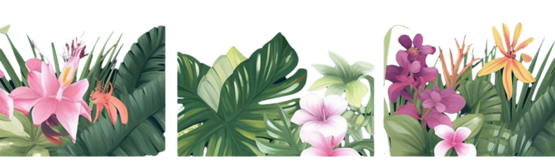 叶子图片,花纹元素,夏天PNG,装饰叶子免抠素材